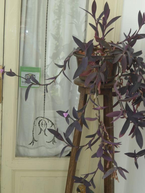 Rosella Bianchi Bed & Breakfast ปาแลร์โม ห้อง รูปภาพ